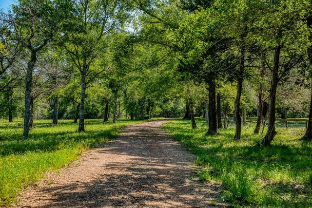 surrounding community featuring driveway and a view of trees
