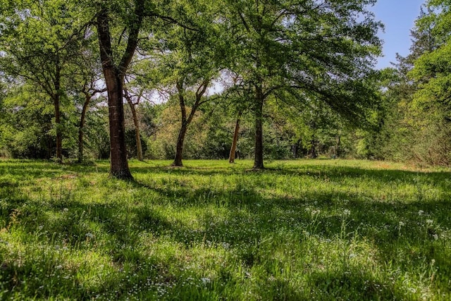 view of landscape featuring a view of trees