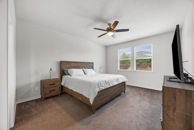 337 Akumal St, Leander, TX 78641 - bedroom featuring carpet floors, baseboards, and a ceiling fan