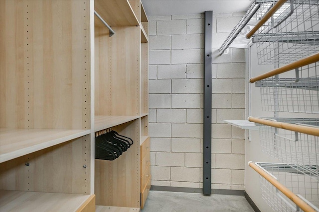 4801 S Congress Ave Unit D6, Austin, TX 78745 - view of walk in closet