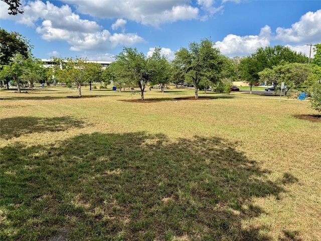 4801 S Congress Ave Unit D6, Austin, TX 78745 - view of green lawn