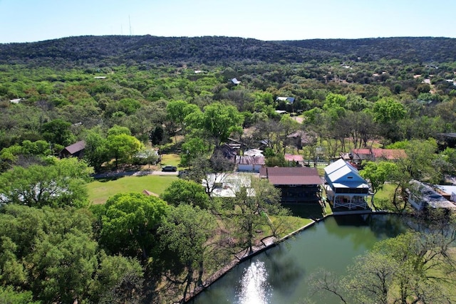 bird's eye view featuring a wooded view and a water view