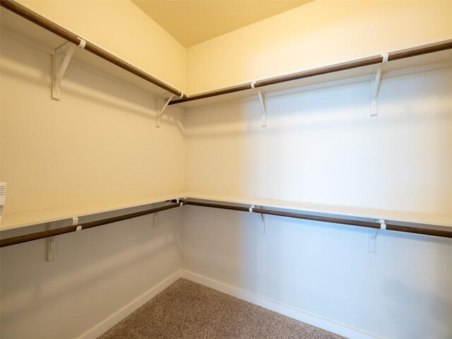 spacious closet with carpet floors