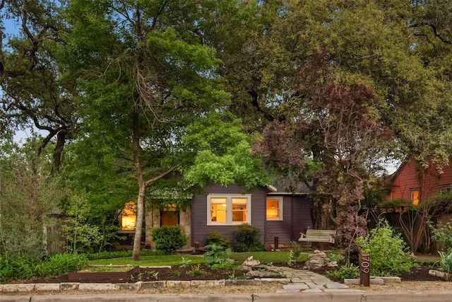 1709 Bouldin Ave, Austin, TX 78704 - obstructed view of property featuring a vegetable garden