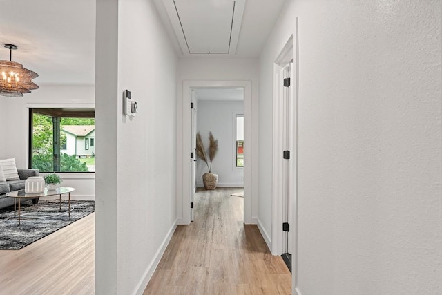 5602 Joe Sayers Ave, Austin, TX 78756 - corridor with attic access and light wood finished floors