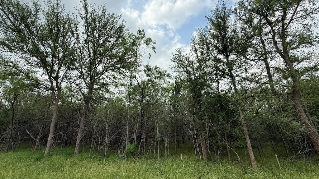 131 W Pauwela Ln, Bastrop, TX 78602