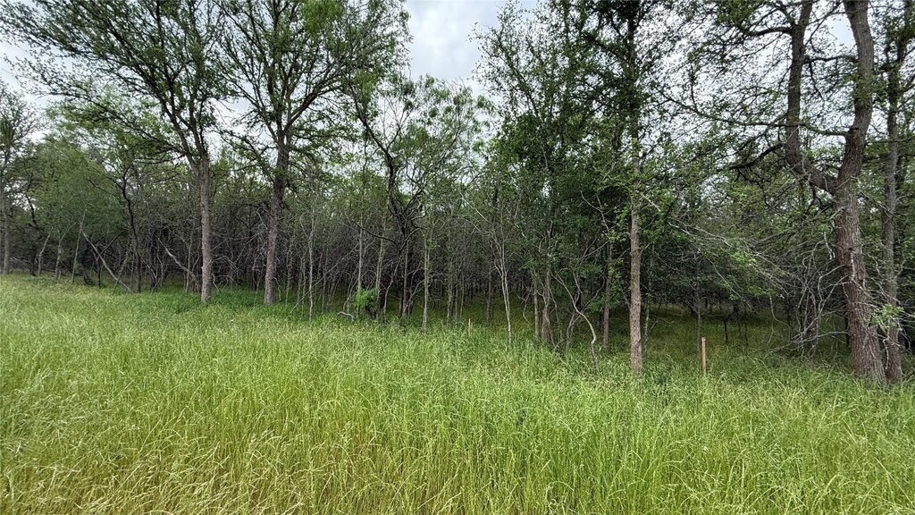 131 W Pauwela Ln, Bastrop, TX 78602
