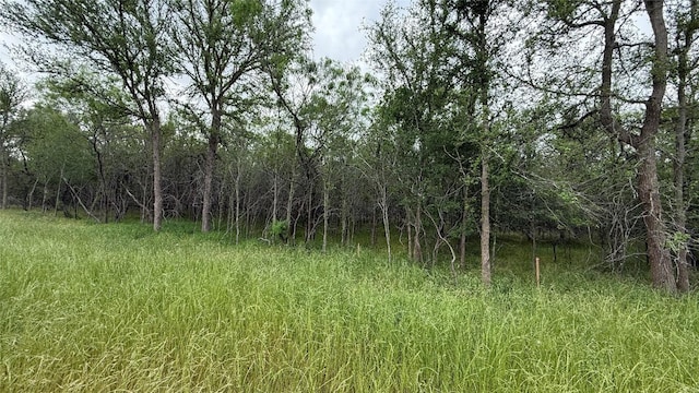 131 W Pauwela Ln, Bastrop, TX 78602
