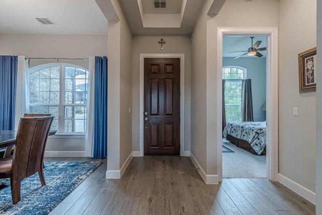 513 Freeing Oak St, San Marcos, TX 78666 - foyer entrance featuring wood finished floors, ceiling fan, arched walkways, and baseboards