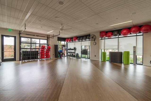 513 Freeing Oak St, San Marcos, TX 78666 - view of garage