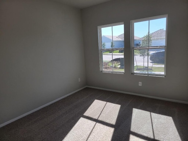 11521 Murano Dr, Austin, TX 78747 - photo 6