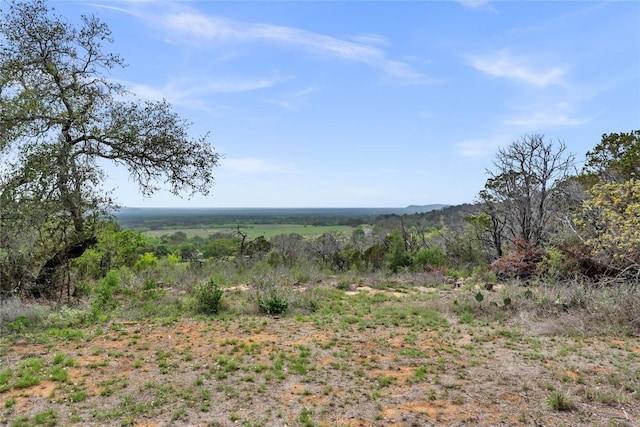view of local wilderness