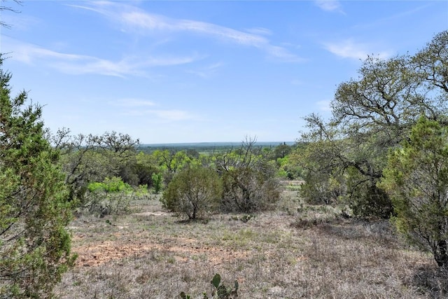 view of local wilderness with a wooded view
