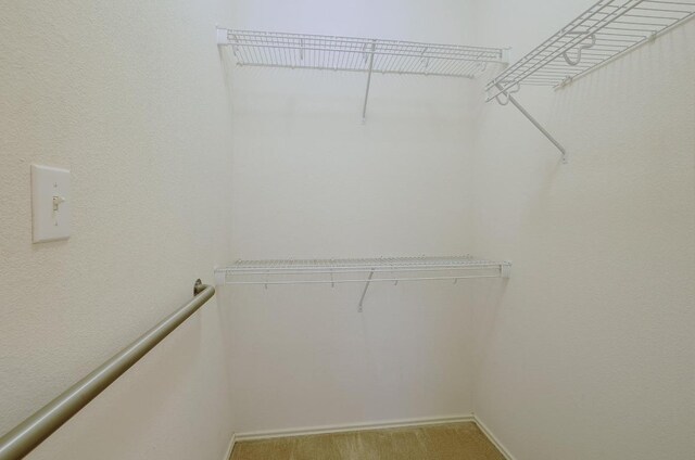 walk in closet featuring carpet