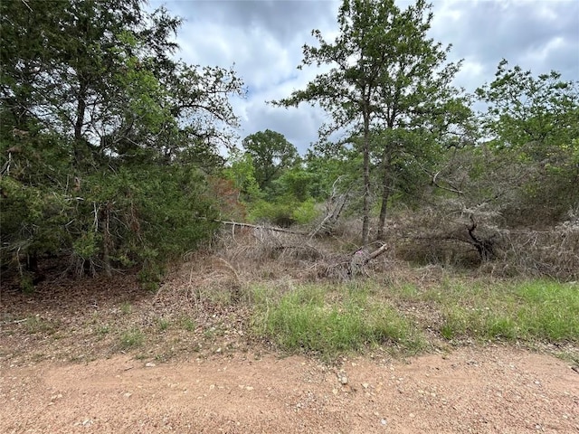 LOT54 Rick Rd, La Grange, TX 78945