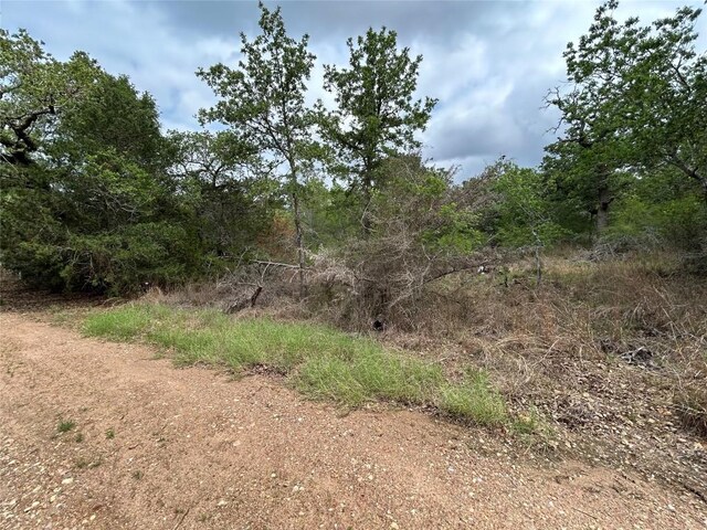 LOT54 Rick Rd, La Grange, TX 78945 - photo 2