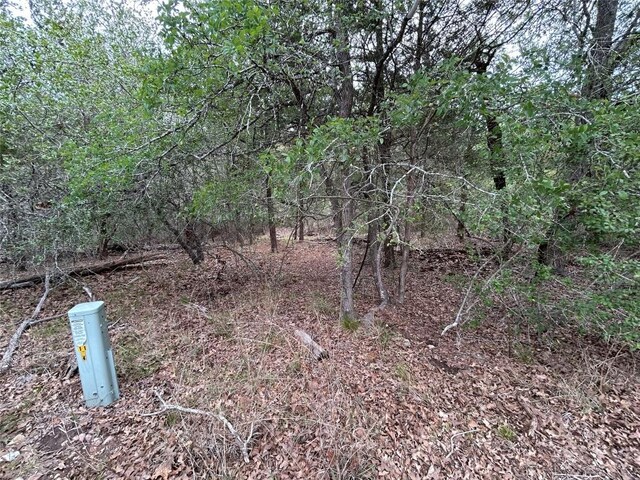 LOT54 Rick Rd, La Grange, TX 78945 - photo 3