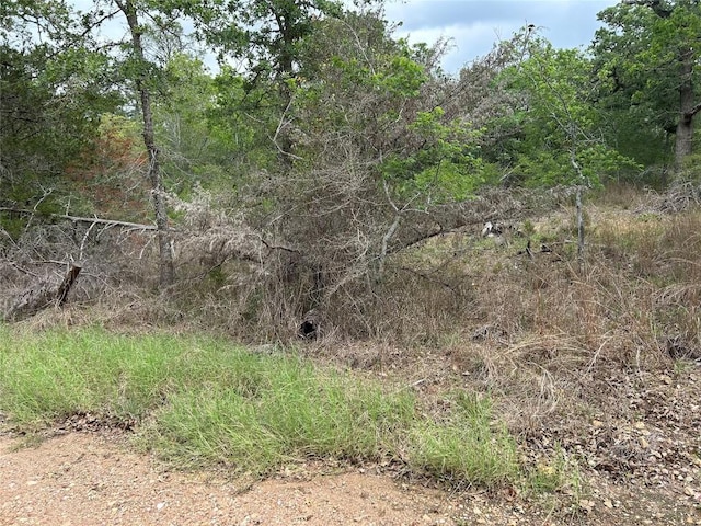 LOT54 Rick Rd, La Grange, TX 78945
