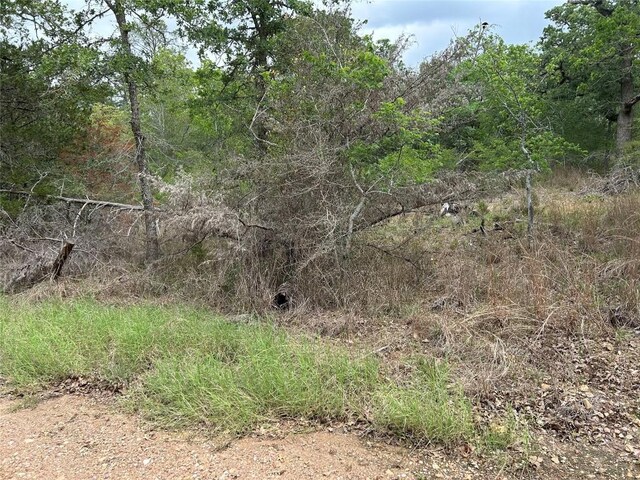 LOT54 Rick Rd, La Grange, TX 78945 - photo 4