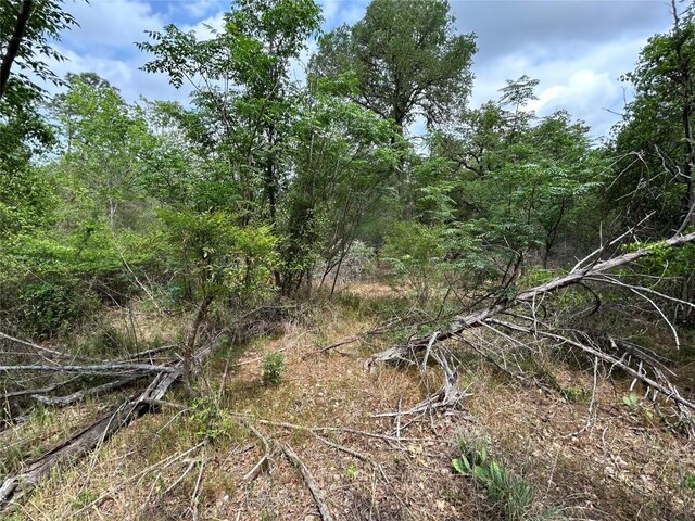 LOT54 Rick Rd, La Grange, TX 78945 - photo 6