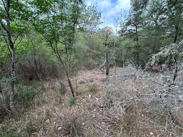 LOT54 Rick Rd, La Grange, TX 78945