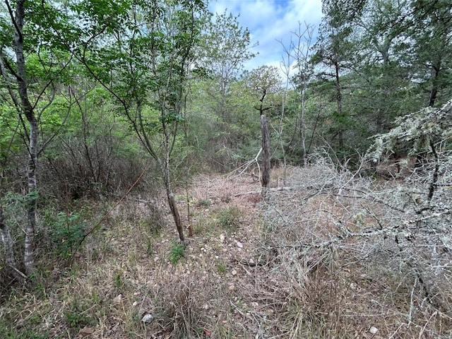 LOT54 Rick Rd, La Grange, TX 78945 - photo 7