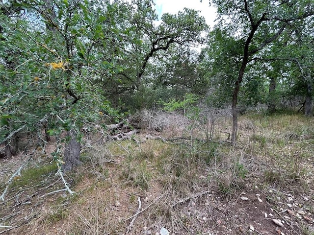 LOT54 Rick Rd, La Grange, TX 78945