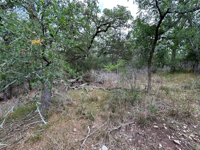 LOT54 Rick Rd, La Grange, TX 78945 - photo 8