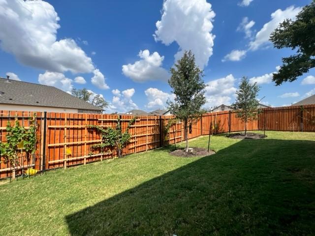 4201 Arques Ave, Round Rock, TX 78681 - view of yard