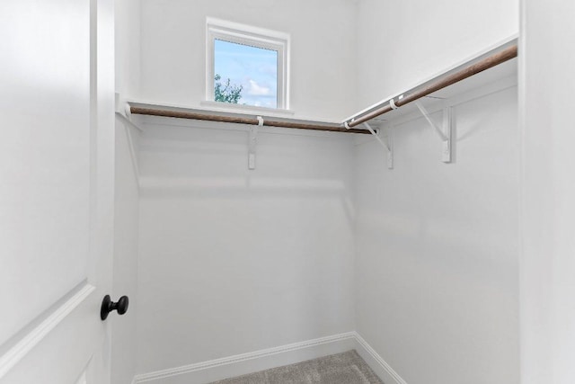 4201 Arques Ave, Round Rock, TX 78681 - view of walk in closet