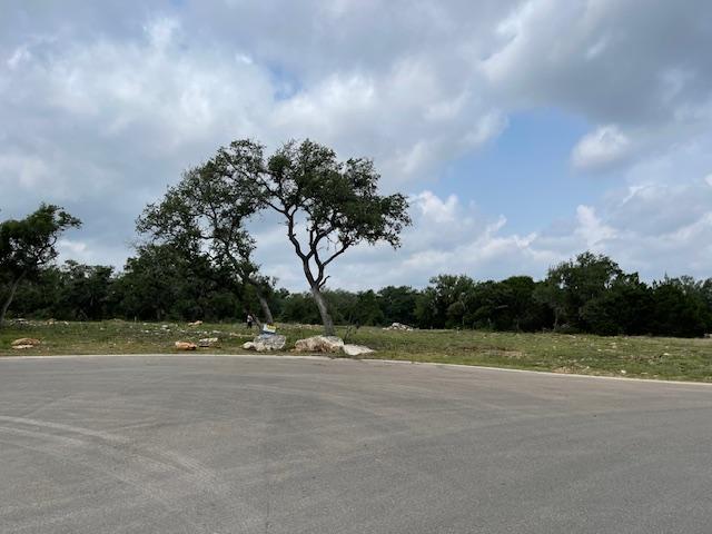 216 Shelf Rock Rd, Georgetown, TX 78628 - photo 3