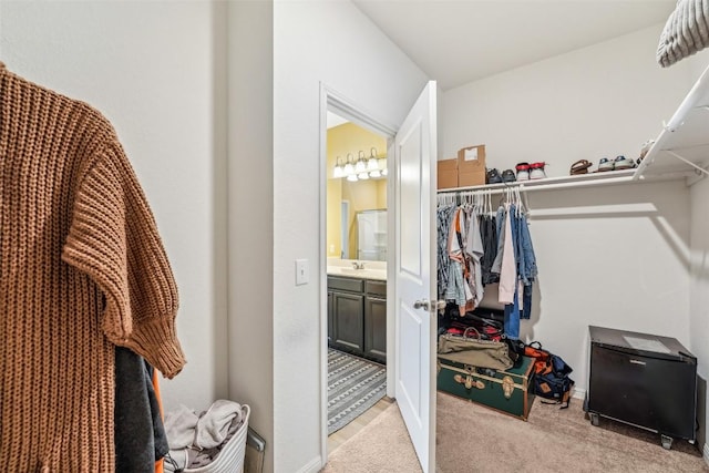 12700 Robert Taft St, Manor, TX 78653 - walk in closet featuring light carpet and a sink