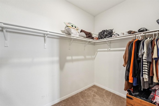 12700 Robert Taft St, Manor, TX 78653 - walk in closet featuring carpet floors