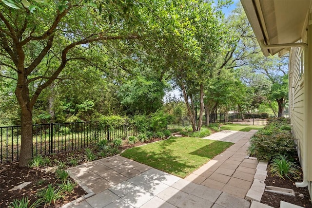view of yard featuring a fenced backyard and a patio area