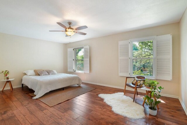 11204 Deadoak Ln, Austin, TX 78759 - bedroom featuring multiple windows, hardwood / wood-style floors, and ceiling fan