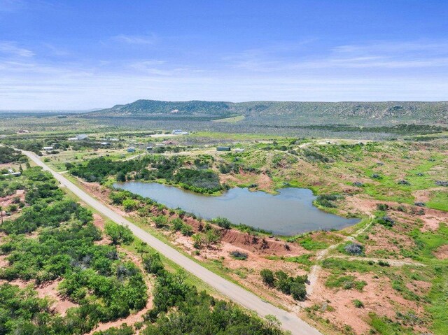 221 County Road 321, Abilene, TX 79606 - photo 26