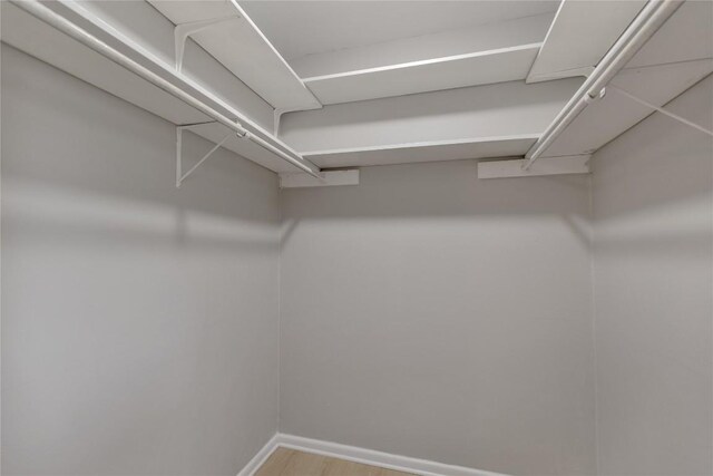spacious closet featuring wood finished floors