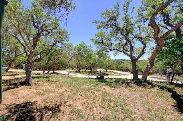 3824 Mccall Creek Rd, Blanco, TX 78606 - photo 21