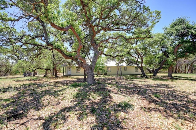 3824 Mccall Creek Rd, Blanco, TX 78606 - photo 24