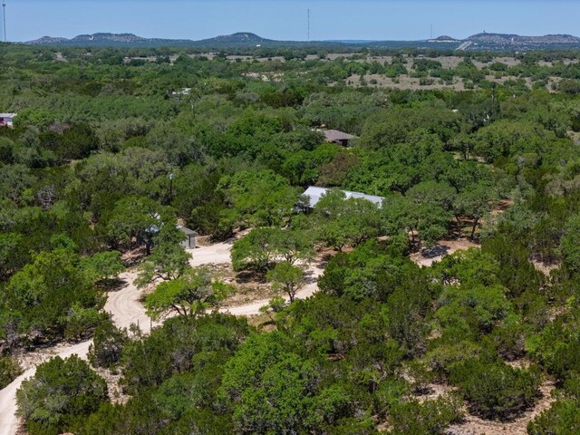 3824 Mccall Creek Rd, Blanco, TX 78606 - photo 29