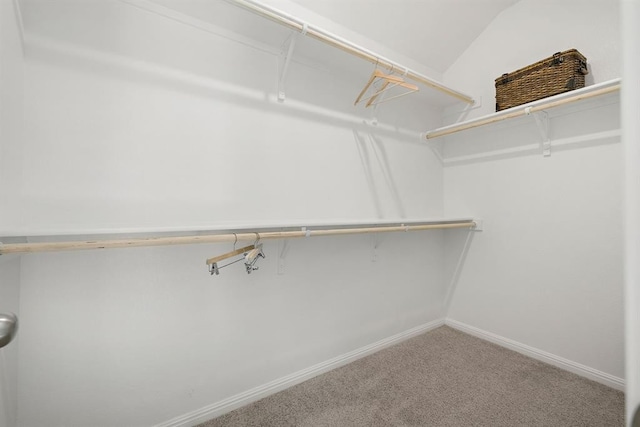 spacious closet with carpet flooring