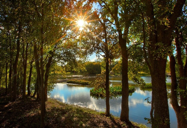 220 Falling Star Ln, Georgetown, TX 78628 - water view