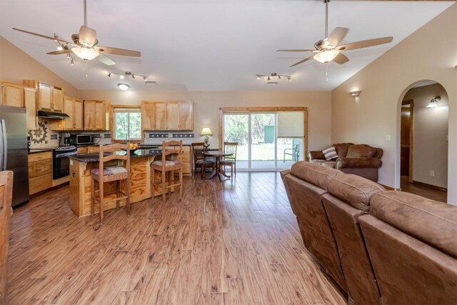living room with arched walkways, ceiling fan, lofted ceiling, and light wood finished floors