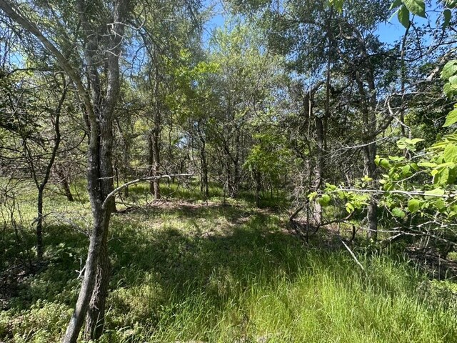 163 Waimanalo Dr, Bastrop, TX 78602