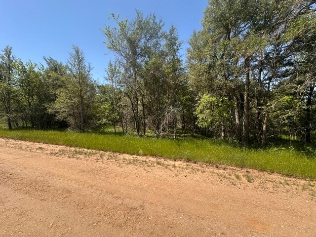 163 Waimanalo Dr, Bastrop, TX 78602