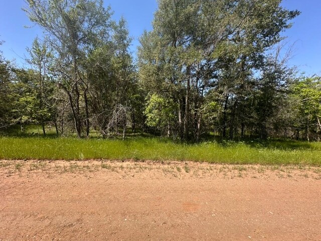 163 Waimanalo Dr, Bastrop, TX 78602