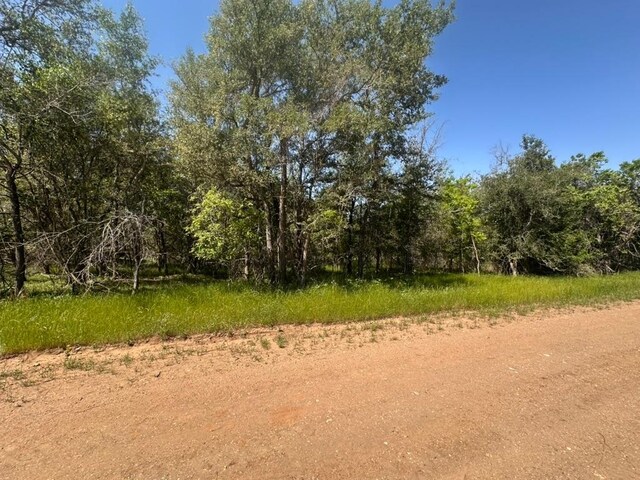 163 Waimanalo Dr, Bastrop, TX 78602