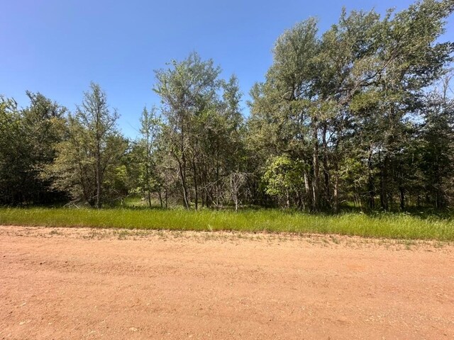 163 Waimanalo Dr, Bastrop, TX 78602