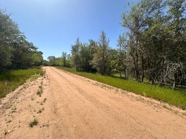 163 Waimanalo Dr, Bastrop, TX 78602