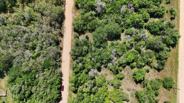 163 Waimanalo Dr, Bastrop, TX 78602